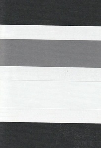Рулонные шторы день-ночь для проема Салерно, серый 2002 купить в Истре с доставкой